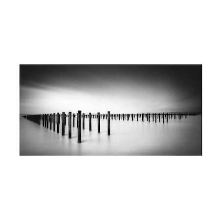 Christophe Staelens 'Formation Study' Canvas Art, 10x19